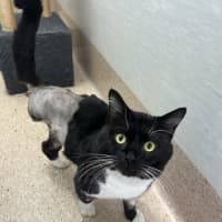 Photo of Simon