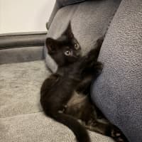 Photo of Mila