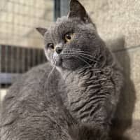 Photo of Fafa And Britt