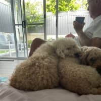 Photo of Lilly And Murphy 