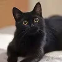 Photo of Mavis