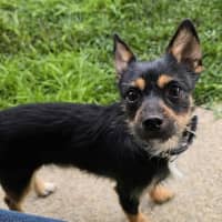 Photo of Ernie (8988)