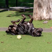 Photo of Zuri
