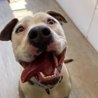 Photo of Tootsie Roll