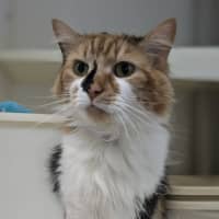 Photo of 🥂 Clicquot 5748 🥂