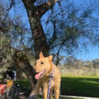 Photo of Lexi 