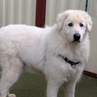 Photo of Zeus