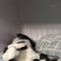 Photo of Clinkers