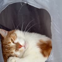 Photo of Jupiter