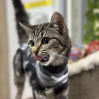 Photo of 🍣 Bento 6314 🍣