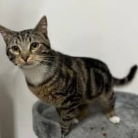Photo of Truffle