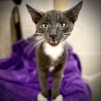 Photo of Jasper