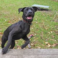 Photo of Lilly Now Rhuma