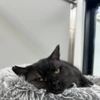 Photo of Xander