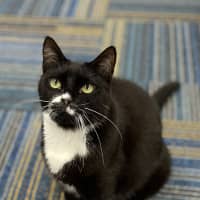 Photo of Frank