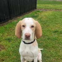 Photo of Post Malone