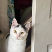 Photo of Lilly
