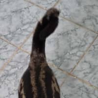 Photo of Lara