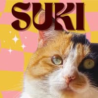 Photo of Suki