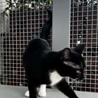 Photo of Olivia
