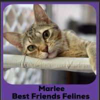 Photo of Marlee 