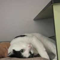 Photo of Alice