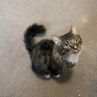 Photo of Freddy   In Foster Care In Preston