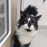 Photo of 🥨 Hamish 7370 🥨