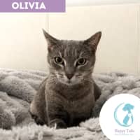Photo of Olivia
