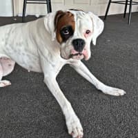 Photo of Rico And Mamacita