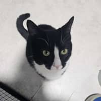 Photo of Tommy And Sammy