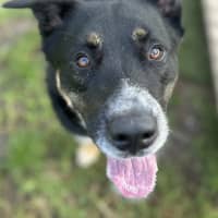 Photo of Leroy Jenkins
