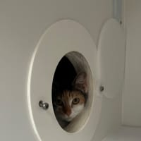 Photo of Gucci (60039)