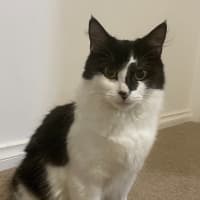 Photo of Roxy