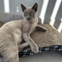 Photo of Jazzi 