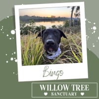 Photo of Bingo