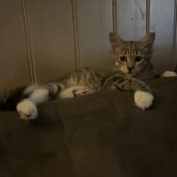 Photo of Ned & Clyde