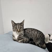 Photo of Aya