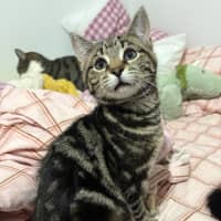 Photo of Hunter Mewell