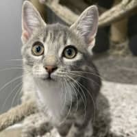 Photo of Pip