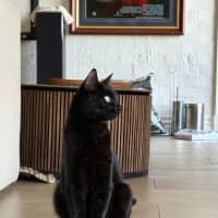 Photo of Cleo