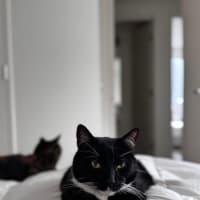 Photo of Jesse 