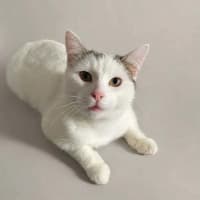 Photo of Princess