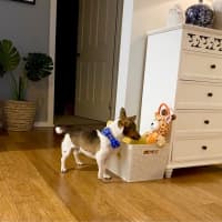 Photo of Kevin Arnold