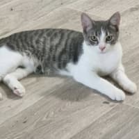 Photo of Chester