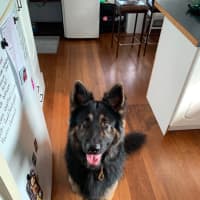 Photo of Teddy