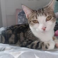 Photo of Everhart & Fairlight