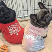 Photo of Maggie And Mr Wiggles