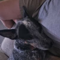 Photo of Jessie
