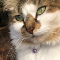 Photo of Hazel